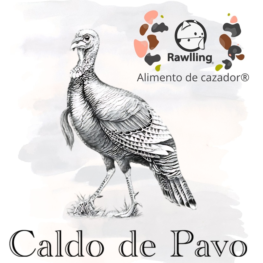 Caldo de Pavo