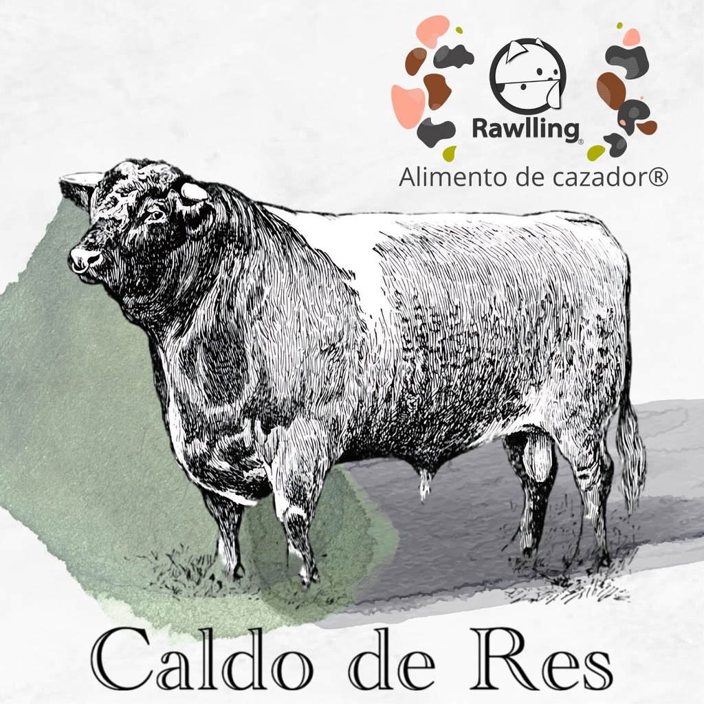 Caldo de Res