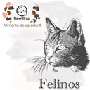 Felinos